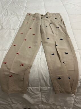 Men's Beige Embroidered Pants